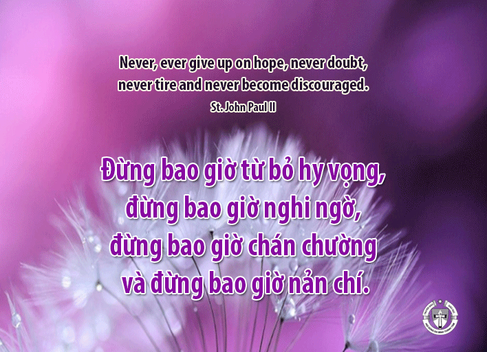 Ý lực sống - ngày 11/4/2024