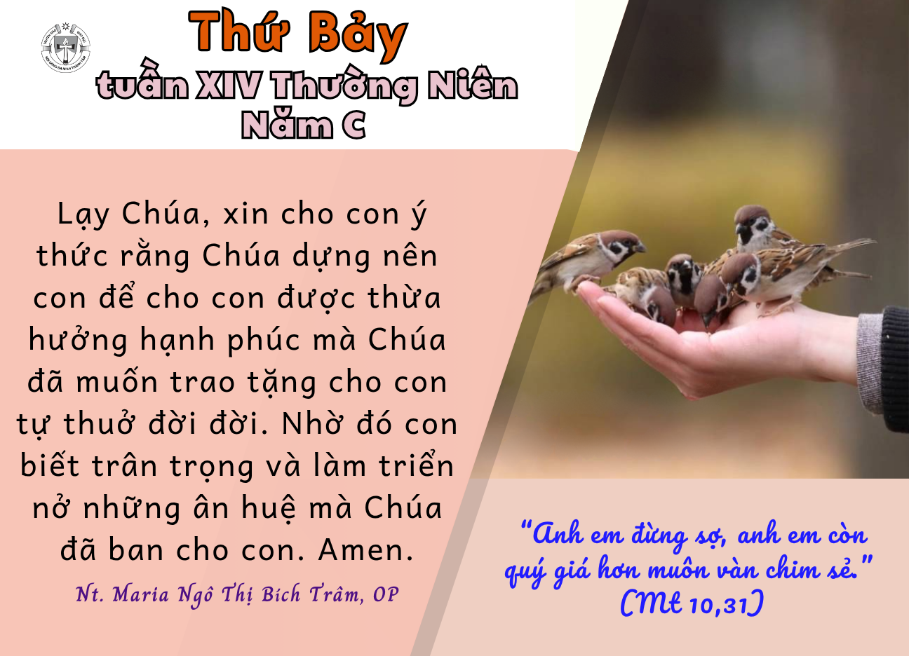 Thứ Bảy tuần XIV Thường niên