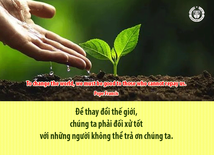 Ý lực sống - ngày 19/2/2024