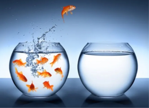 Ba bí quyết để tự do hơn trên mạng xã hội