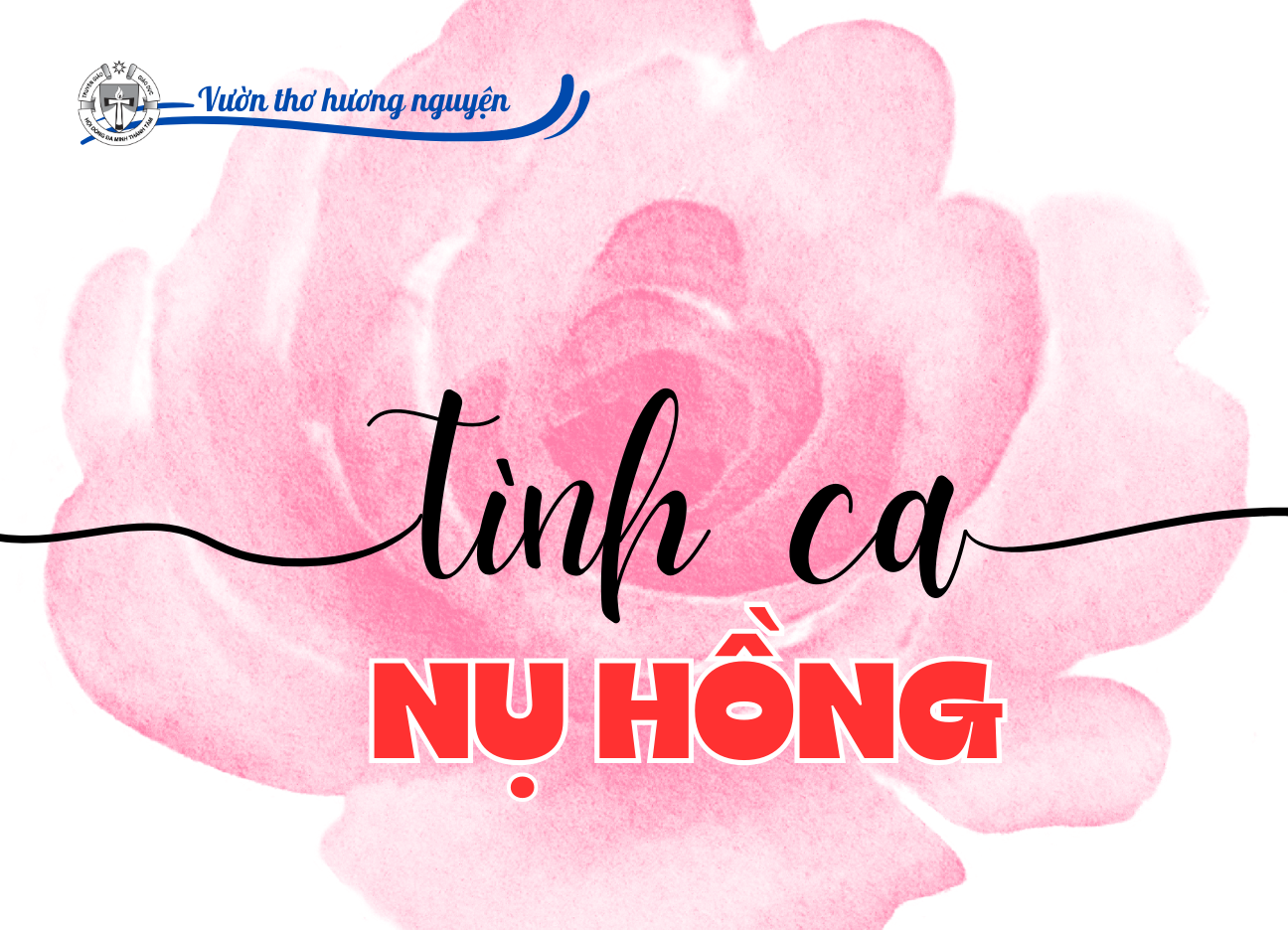 Tình ca nụ hồng