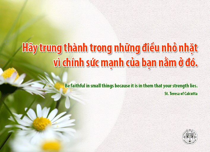 Ý lực sống - ngày 22/2/2024