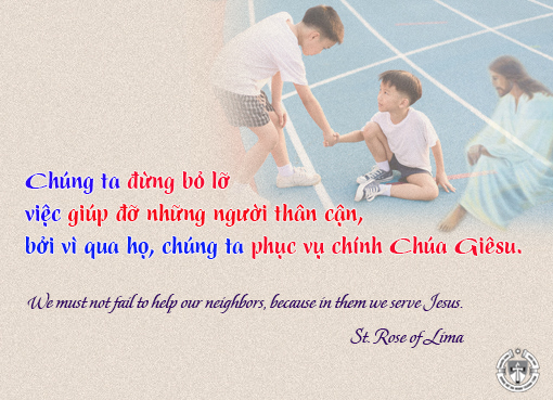 Ý lực sống - ngày 23/8/2024