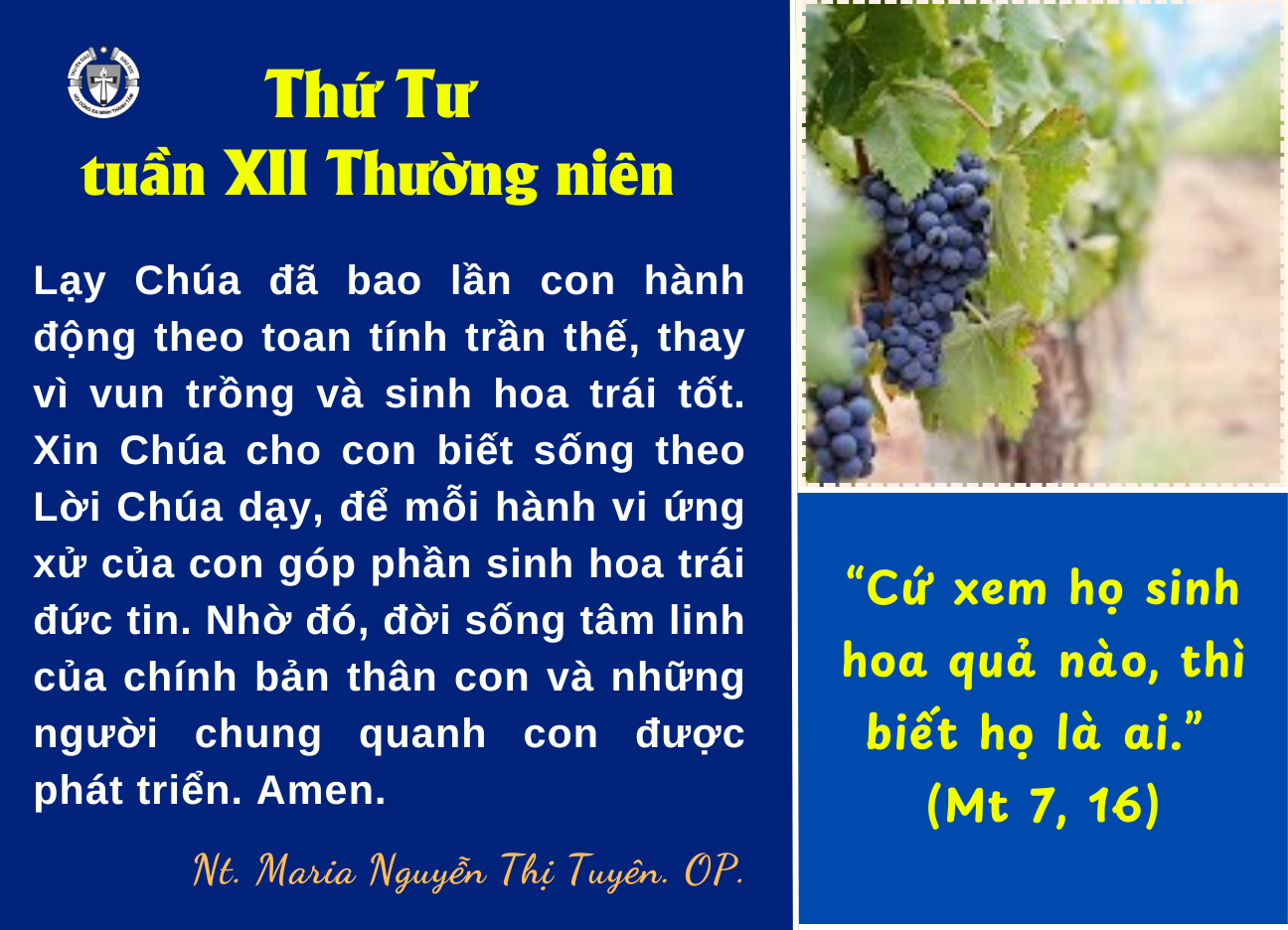 Thứ Tư tuần XII Thường niên
