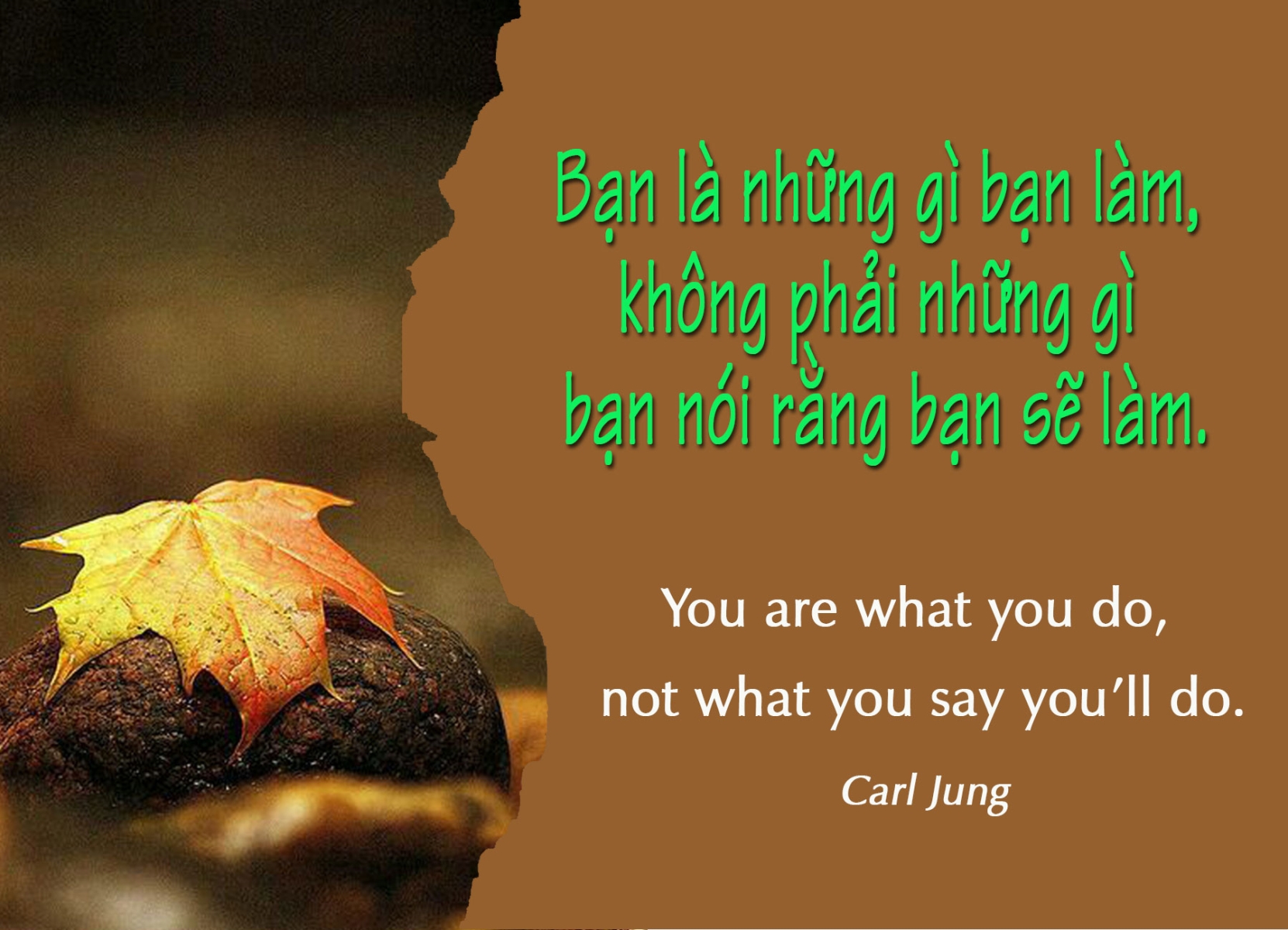 Ý Lực Sống - 26 tháng 01