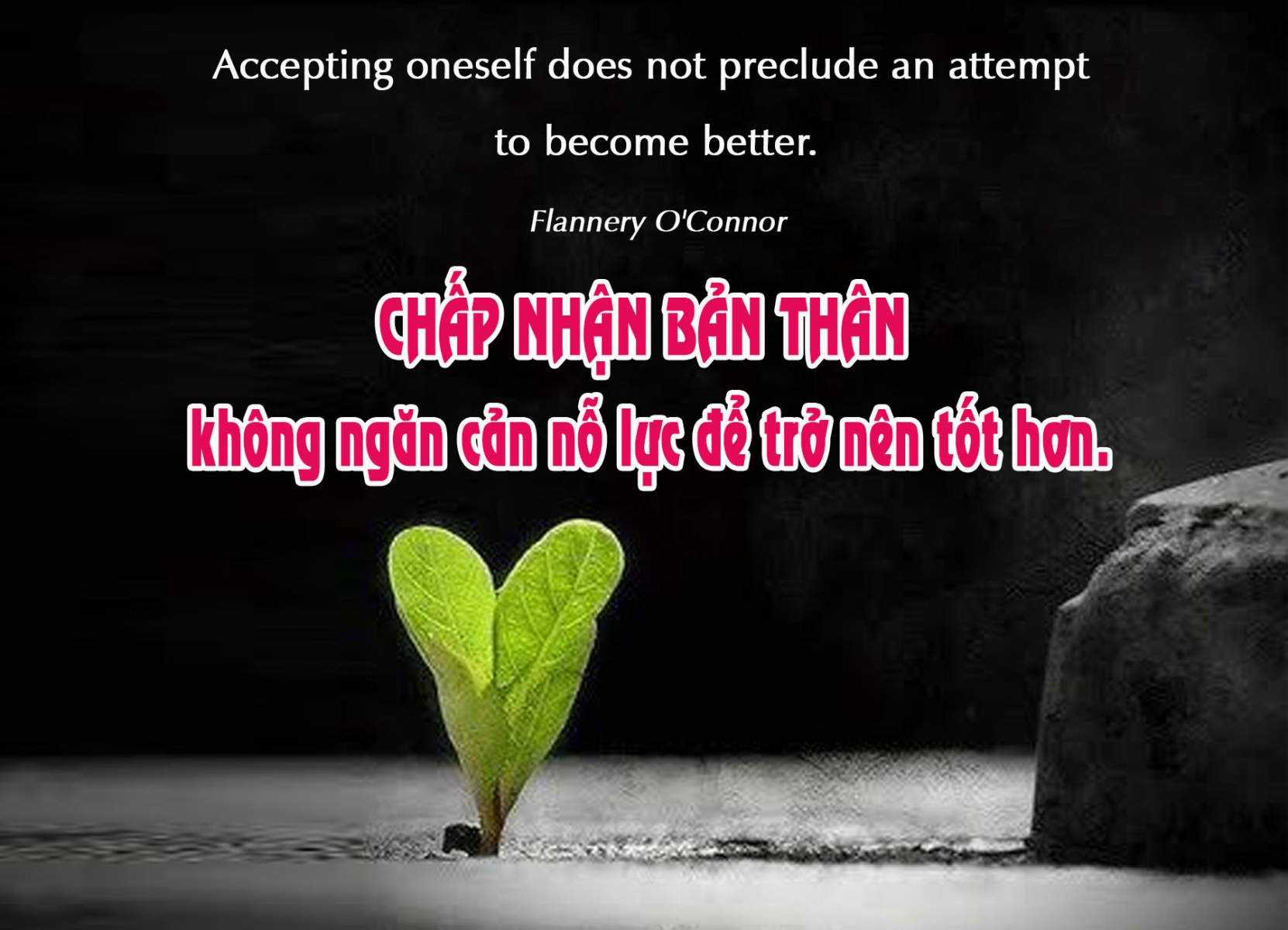 Ý Lực Sống - 27 tháng 01