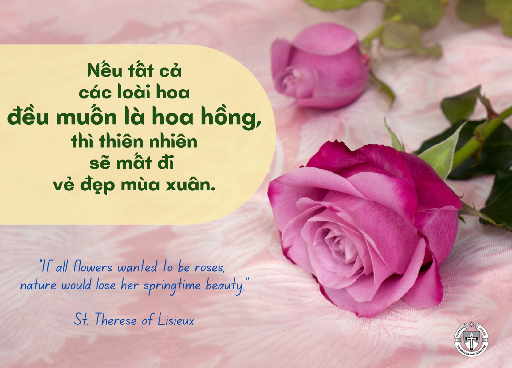 Ý lực sống - ngày 27/6/2025