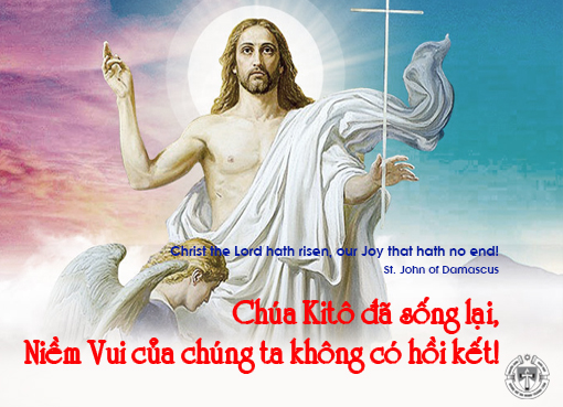 Ý lực sống - ngày 2/6/2024