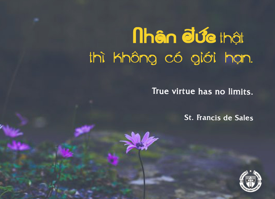 Ý Lực Sống - ngày 08/10/2024