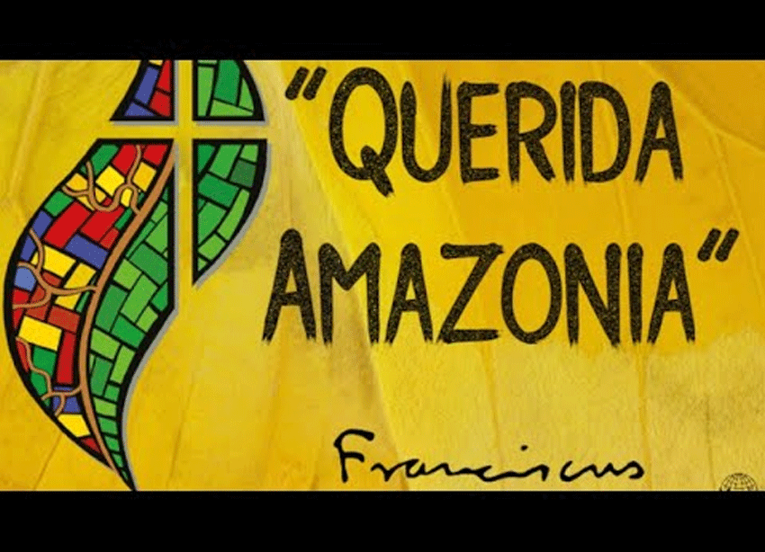 Tông huấn hậu thượng Hội đồng - Querida Amazonia