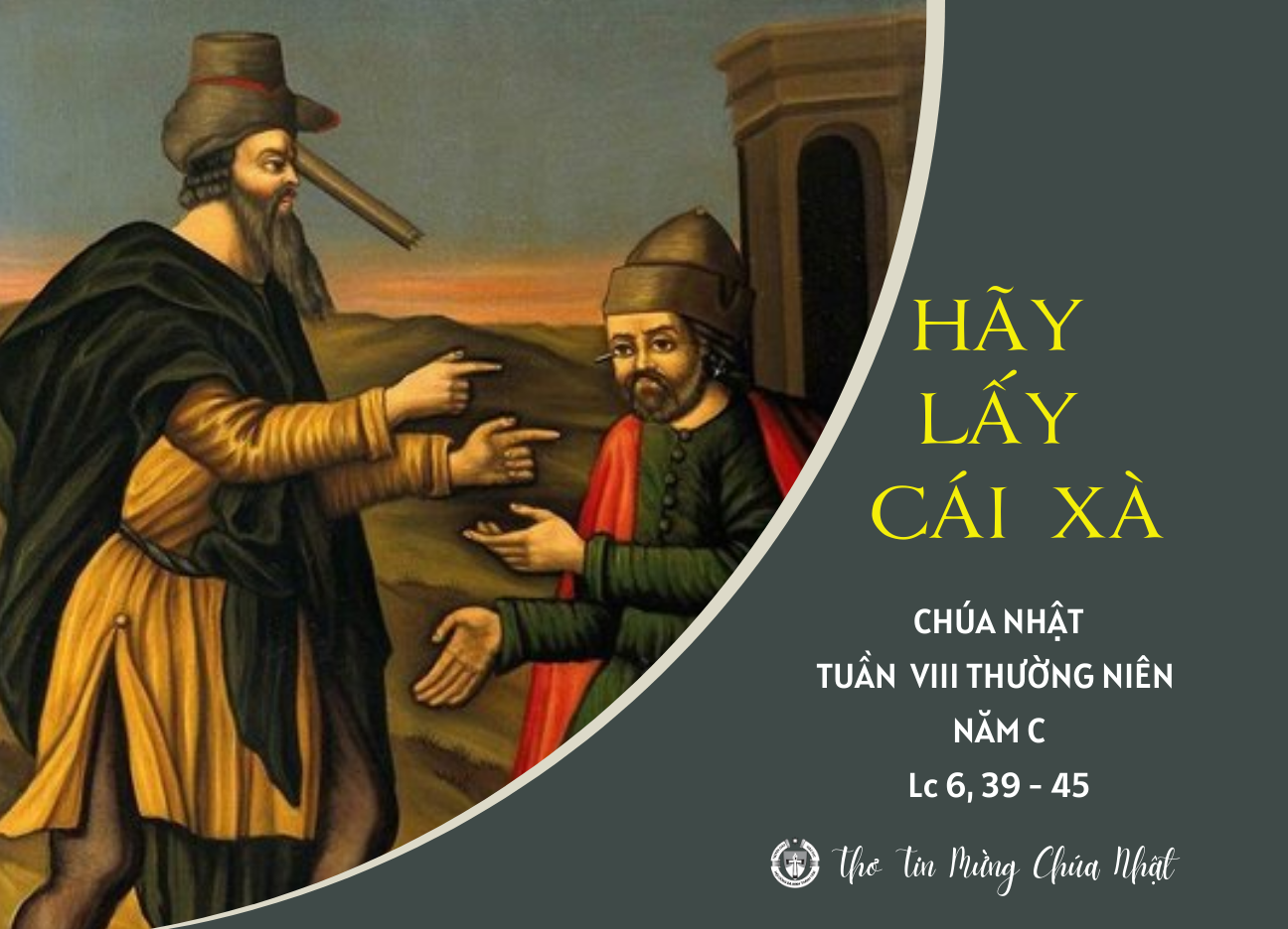 Hãy lấy cái xà - Chúa Nhật VIII Thường niên C