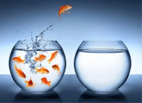 Ba bí quyết để tự do hơn trên mạng xã hội