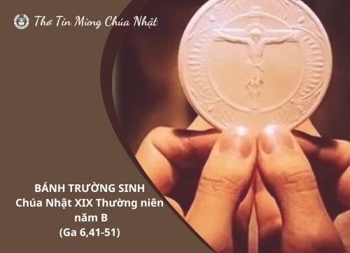 Bánh Trường Sinh - Chúa Nhật XIX Thường Niên B