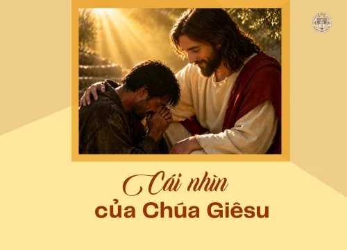 Cái nhìn của Chúa Giêsu
