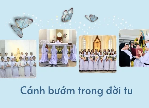 Cánh bướm trong đời tu