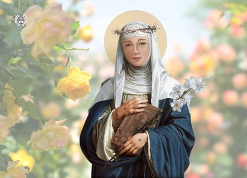 Catarina hương sắc vườn hồng