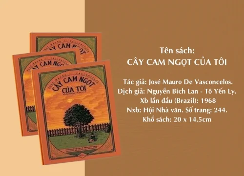 Cây cam ngọt của tôi