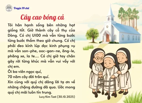 Cây cao bóng cả