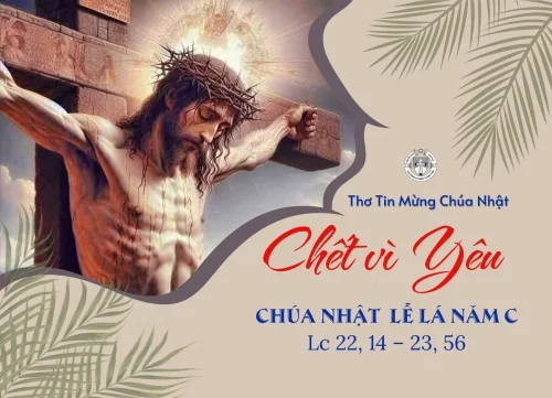 Chết vì yêu