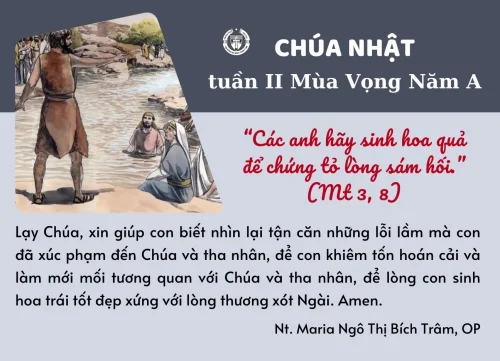 Chúa Nhật II Mùa vọng năm A