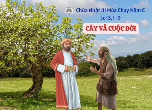 Chúa Nhật III Mùa Chay - Năm C
