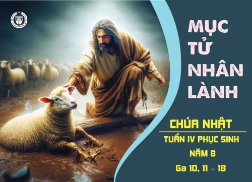 Chúa Nhật IV Phục Sinh - Năm B