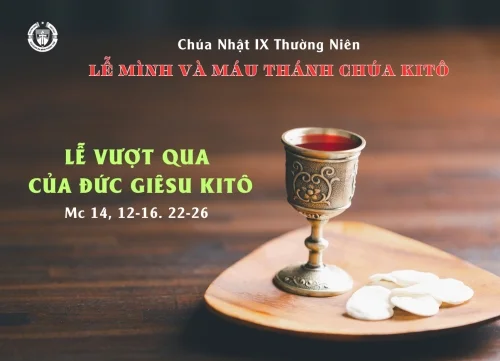 Chúa Nhật IX Thường Niên Năm B - Lễ Mình và Máu Chúa Kitô