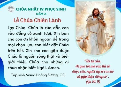 Chúa Nhật Lễ Chúa Chiên Lành - Năm A
