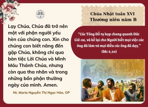 Chúa Nhật tuần XVI Thường niên B