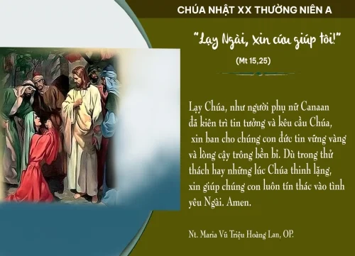 Chúa nhật tuần XX Thường niên A