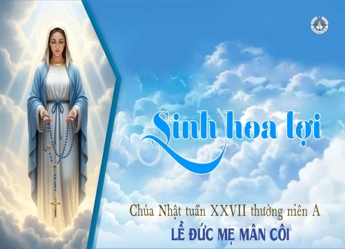 Chúa Nhật tuần XXVII thường niên A