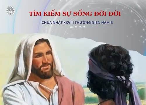 Chúa Nhật Tuần XXVIII Thường Niên B