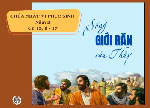 Chúa Nhật VI Phục Sinh Năm B
