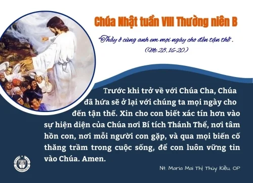 Chúa Nhật VIII Thường Niên B