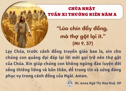Chúa Nhật XI Thường niên A