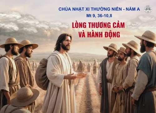 Chúa Nhật XI Thường Niên - Năm A