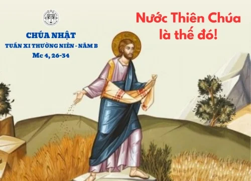 Chúa Nhật XI Thường Niên Năm B