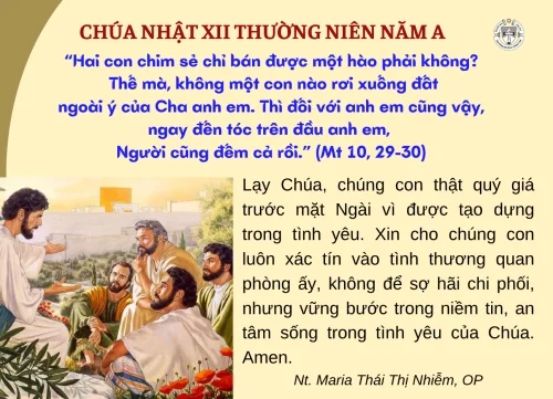 Chúa Nhật XII Thường niên A