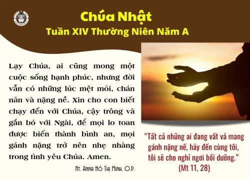 Chúa Nhật XIV thường niên A