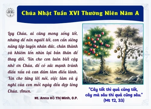 Chúa Nhật XVI Thường Niên A