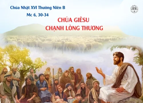 Chúa Nhật XVI Thường Niên - Năm B