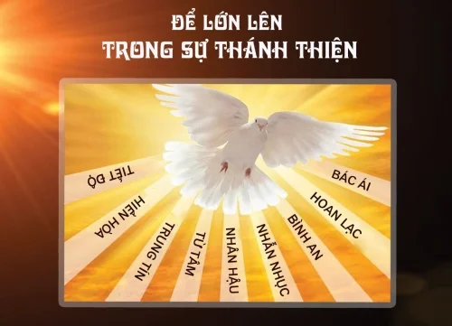 Để lớn lên trong sự thánh thiện