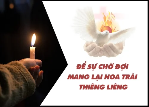 Để sự chờ đợi mang lại hoa trái thiêng liêng