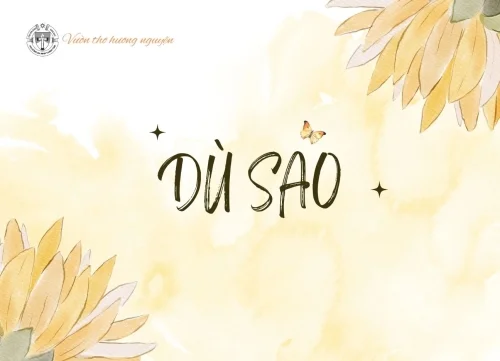 Dù sao