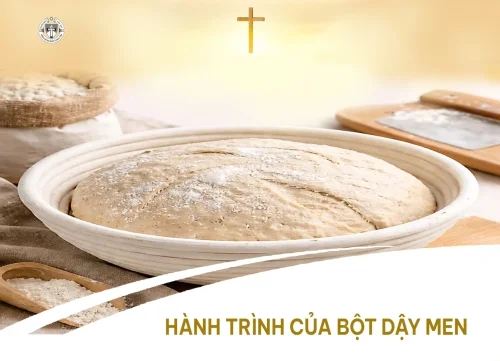 Hành trình của bột dậy men
