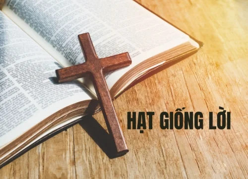 Hạt giống Lời
