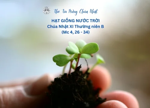 Hạt giống Nước Trời - Chúa Nhật XI Thường Niên B