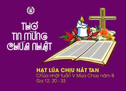 Hạt lúa chịu nát tan - Chúa nhật tuần V Mùa Chay - năm B
