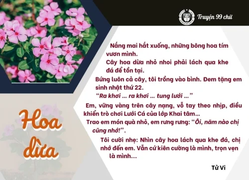 Hoa dừa