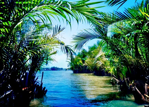 Hồi ký: Dư ấm miền Tây